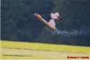 , 75-Jahre Graupner, Modellflugtag 25.09.2005 auf der Hahnweide