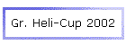 Gr. Heli-Cup 2002