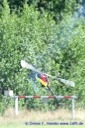 rc-heli Sommertreff in Dietzenbach05.08.2006