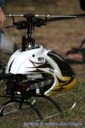 rc-heli Sommertreff in Dietzenbach05.08.2006